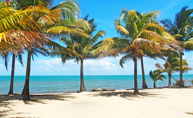 Fototapeta na wymiar That beach in Dangriga, Belize