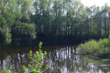 Obraz premium Spring on the River