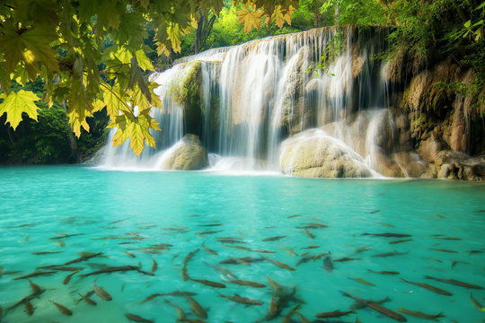 Erawan Waterfall, beautiful waterfall in spring forest in Kancha