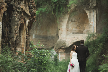 Happy newlyweds near the ancient castle on the walk