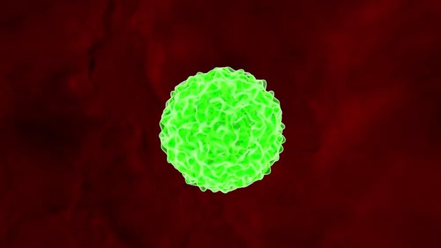 gr&uuml;ner Virus rotiert im Blutkreislauf - Loop 4K 3D Animation