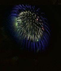 Blue and violet colorful fireworks in black background, artistic fireworks festival in Malta,4 July