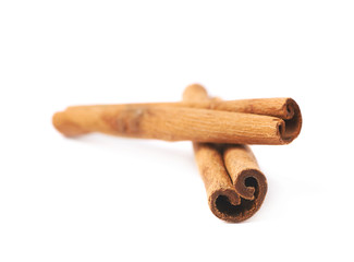 Cinnamon stick isolated