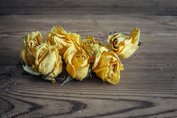 Dry yelloy roses on wood background