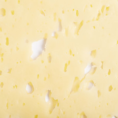 Close-up cheese texture