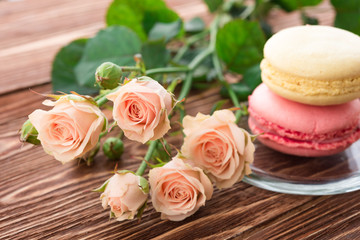 rose flower on wood background