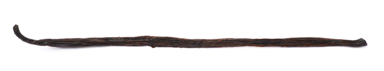 Dried vanilla pod fruit isolated