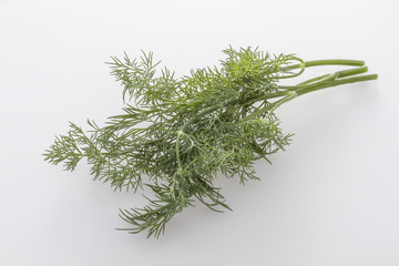 Dill | Kräuter