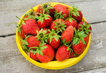 Summer berries topic: Ripe red strawberries lying in a yellow plate on a pile of gray wooden table in the garden, view from above