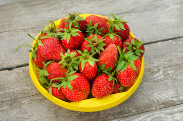 Summer berries topic: Ripe red strawberries lying in a yellow plate on a pile of gray wooden table in the garden, view from above