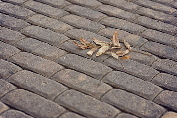 texture of paving slabs in the form of bricks