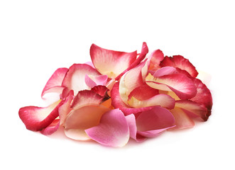 Pile of multiple rose petals