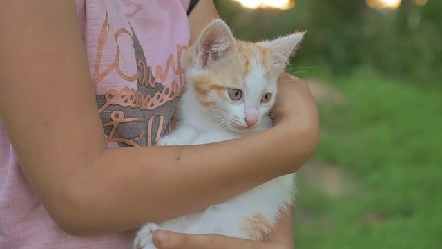 girl brunette holding kitten in her cat arms love teen outdoors