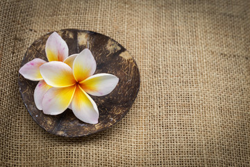 Fototapeta na wymiar Plumeria flower on coconut shell with space on hessian texture background, spa concept idea