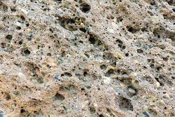 Part of rock close up.