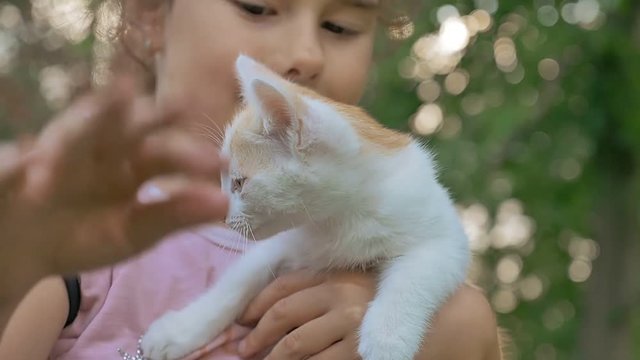 girl brunette holding kitten in her cat arms teen love outdoors