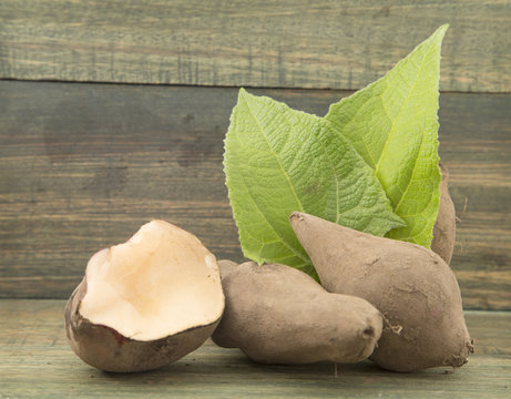 roots and leaves of fresh yacon
