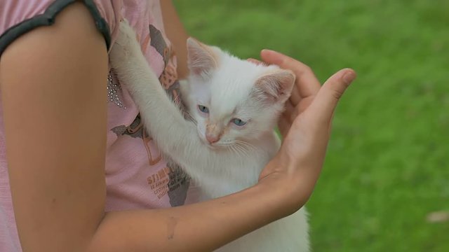 brunette girl holding kitten in her cat teen arms love outdoors