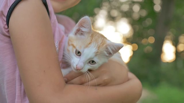 girl brunette holding kitten in her cat teen arms love outdoors