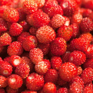 strawberries close-up.