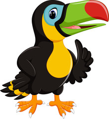 illustration of cute toucan cartoon