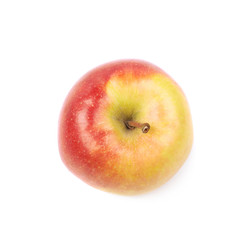 Ripe red and golden jonagold apple