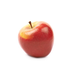 Ripe red and golden jonagold apple
