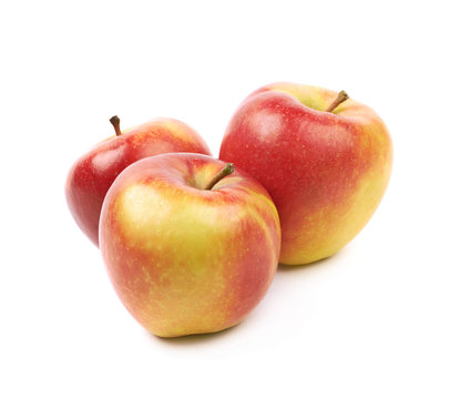 Ripe red and golden jonagold apple