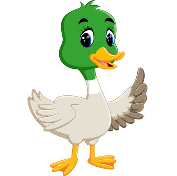 illustration of cute duck cartoon