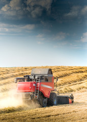 Fototapeta premium Harvesting of soy bean field