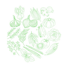 Set Of Vegetables Hand Drawn Artistic Sketch