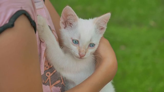 brunette girl holding kitten in teen her cat arms love outdoors