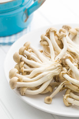 brown shimeji mushrooms