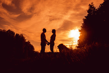 Obraz premium Young couple with the dogs in the park.
