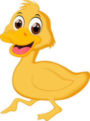 funny baby duck cartoon