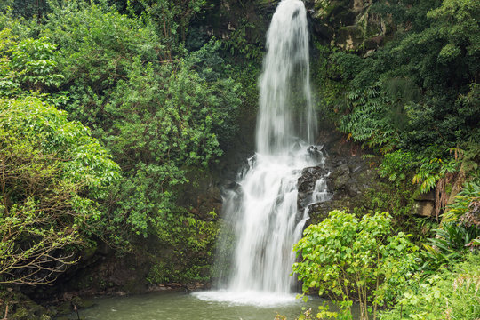 Fototapeta Close up of a waterfall in the Kohala area. This area is known for its many hidden waterfalls. The draught of the waterfall causes some motion blur in the foliage.