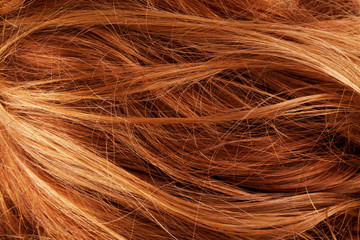 Fototapeta premium hair background texture closeup detail