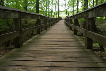 Fototapeta na wymiar Wooden Bridge Woods