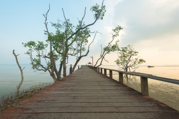 Wooden bridge to sea, Located Koh Mak Island , Trat Province , Thailand