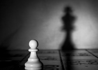 Scacchi fotografati su una scacchiera