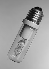 Light bulb on grey background
