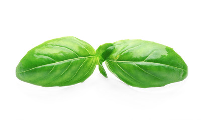 Basil leaves, isolated on white