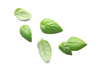 Basil leaves, isolated on white