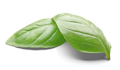 Basil leaves, isolated on white