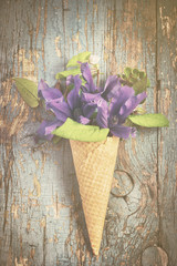 Summer garden flowers in ice cream waffle cone on vintage backgr