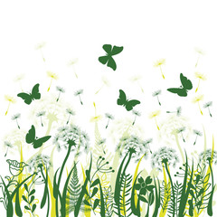 Fototapeta na wymiar background with green grass, wild herbs,,dandelions and butterfl