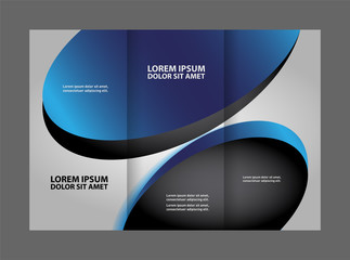 Tri-fold brochure
