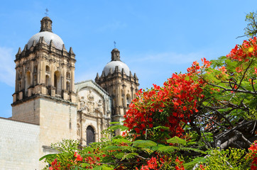Fototapeta na wymiar View to the domes of the Church and former monastery of Santo Domingo 