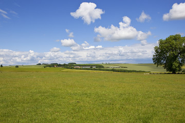 yorkshire wolds grass meadow