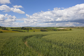 yorkshire wolds scenery